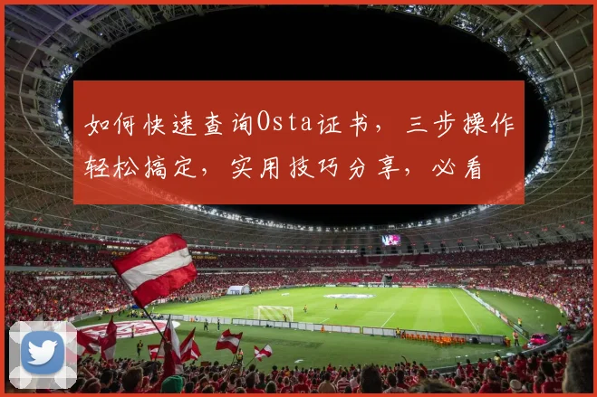 如何快速查询Osta证书，三步操作轻松搞定，实用技巧分享，必看