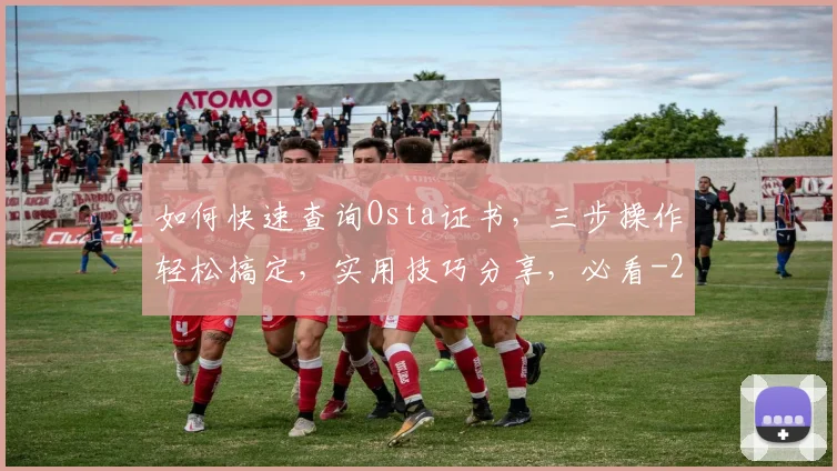 如何快速查询Osta证书，三步操作轻松搞定，实用技巧分享，必看